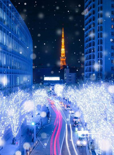 Новый год в Токио и горячие источники 29.12 - 05.01